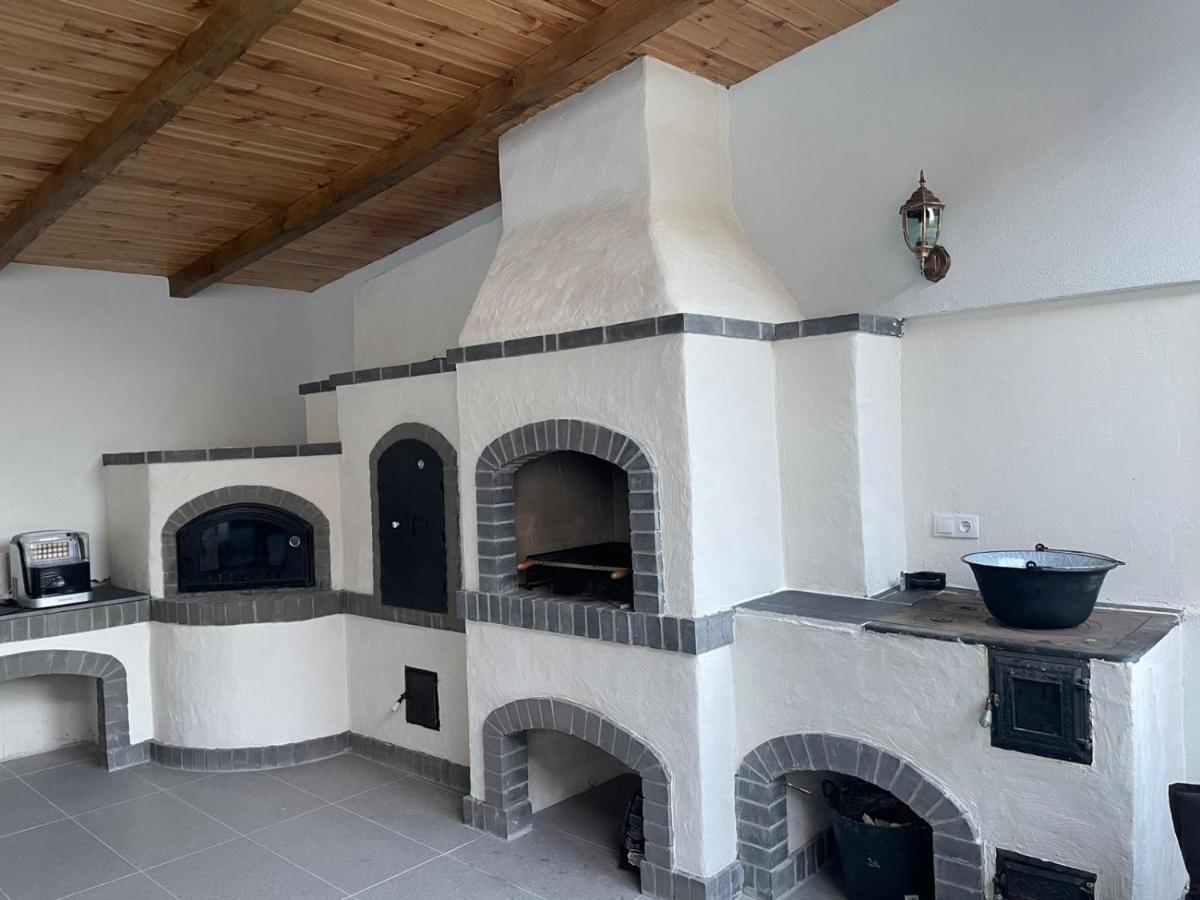 Casa De Langa Padure 호텔 Sighetu Marmaţiei 외부 사진