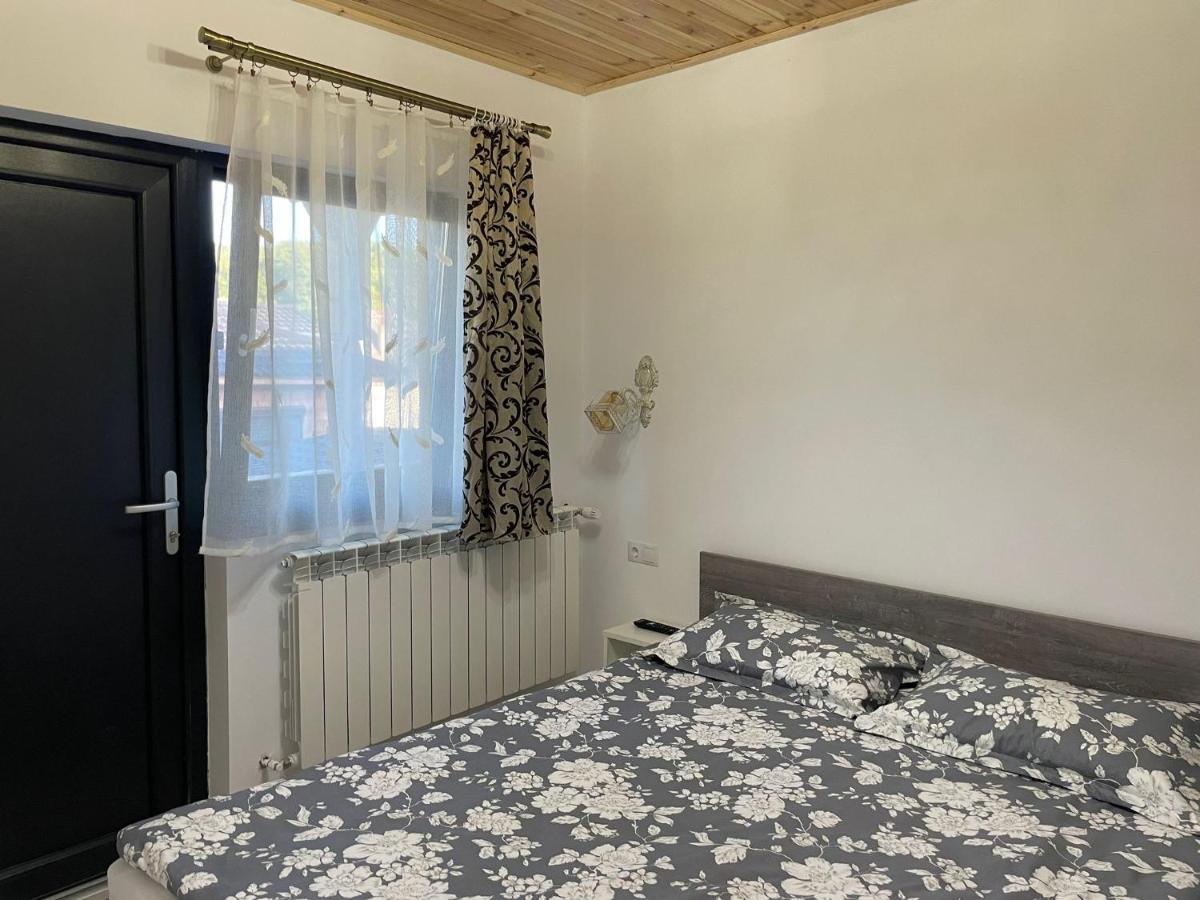 Casa De Langa Padure 호텔 Sighetu Marmaţiei 외부 사진