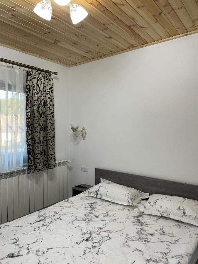 Casa De Langa Padure 호텔 Sighetu Marmaţiei 외부 사진