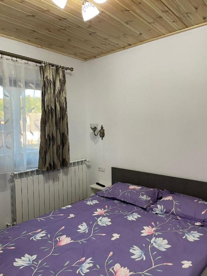 Casa De Langa Padure 호텔 Sighetu Marmaţiei 외부 사진