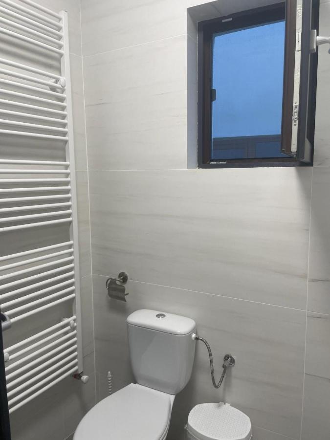 Casa De Langa Padure 호텔 Sighetu Marmaţiei 외부 사진