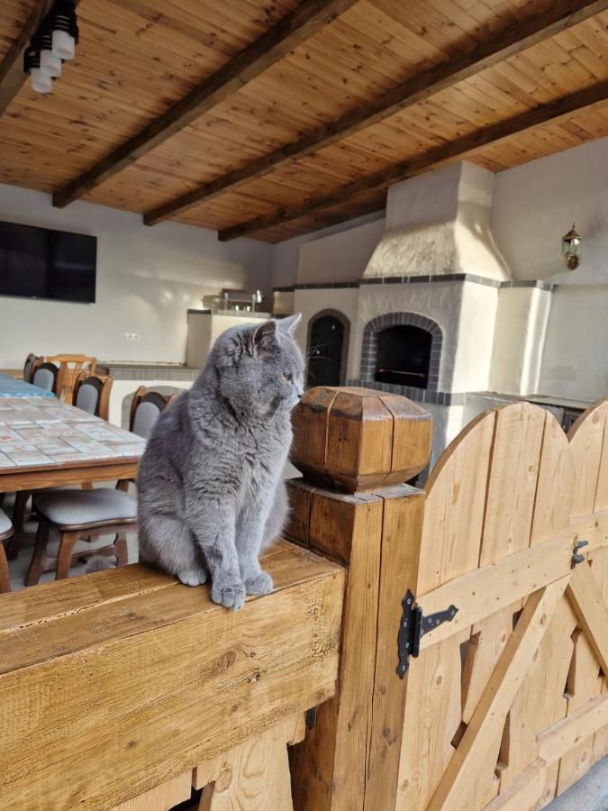 Casa De Langa Padure 호텔 Sighetu Marmaţiei 외부 사진